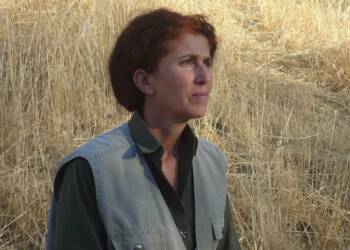 SARA YOLDAŞIN HAKİKATİNE YÜZ SÜRMEK