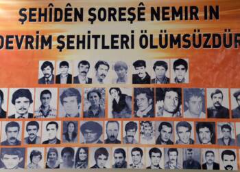 MAYIS ŞEHİTLERİ YOLUMUZU AYDINLATIYOR