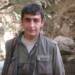 FEDAİLİK PKK’NİN YAŞAYAN ÖZÜDÜR