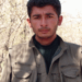 KENDİNİ DAVAYA SONSUZ ADAMIŞ BİR MİLİTAN