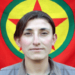 YOLDAŞIM HER ŞEYİMDİR