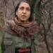 ÖZGÜR BASININ DİLİ ÖZGÜRLÜK VE ZAFER DİLİDİR ONUN PRATİĞİDİR